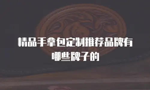 精品手拿包定制推荐品牌有哪些牌子的
