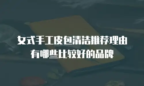 女式手工皮包清洁推荐理由有哪些比较好的品牌