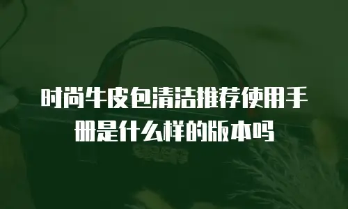 时尚牛皮包清洁推荐使用手册是什么样的版本吗
