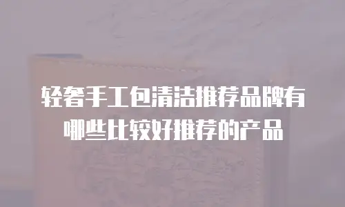 轻奢手工包清洁推荐品牌有哪些比较好推荐的产品