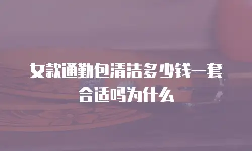 女款通勤包清洁多少钱一套合适吗为什么