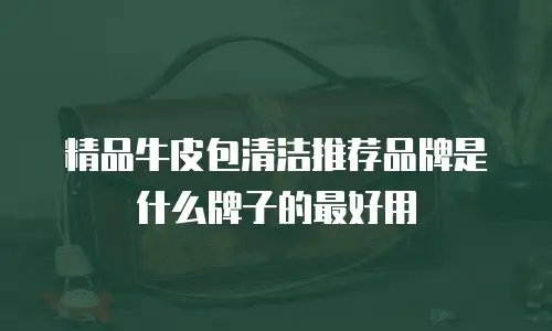 精品牛皮包清洁推荐品牌是什么牌子的最好用