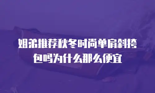 姐弟推荐秋冬时尚单肩斜挎包吗为什么那么便宜