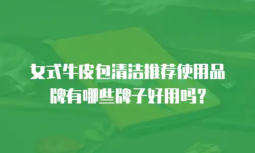女式牛皮包清洁推荐使用品牌有哪些牌子好用吗？