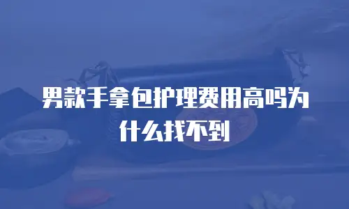 男款手拿包护理费用高吗为什么找不到