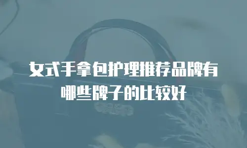 女式手拿包护理推荐品牌有哪些牌子的比较好