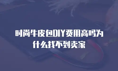 时尚牛皮包DIY费用高吗为什么找不到卖家