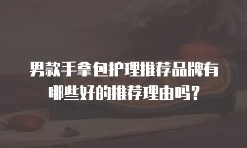 男款手拿包护理推荐品牌有哪些好的推荐理由吗？