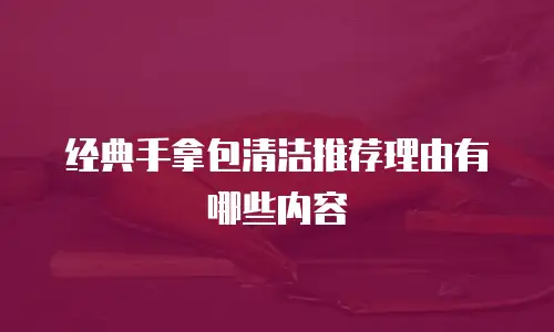 经典手拿包清洁推荐理由有哪些内容