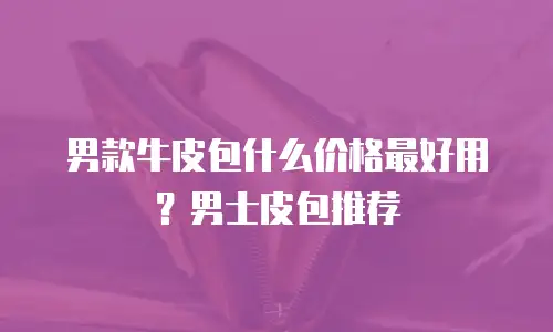 男款牛皮包什么价格最好用？男士皮包推荐