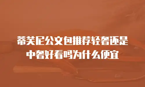 蒂芙尼公文包推荐轻奢还是中奢好看吗为什么便宜