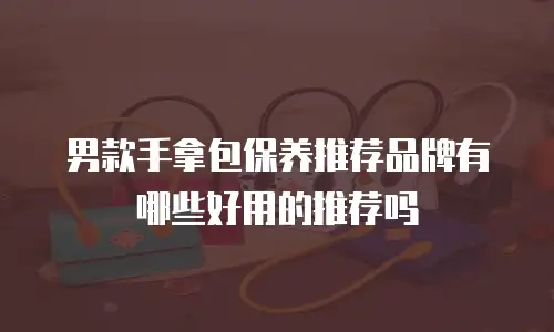 男款手拿包保养推荐品牌有哪些好用的推荐吗