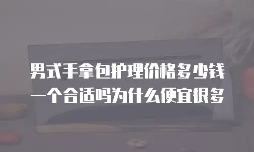 男式手拿包护理价格多少钱一个合适吗为什么便宜很多