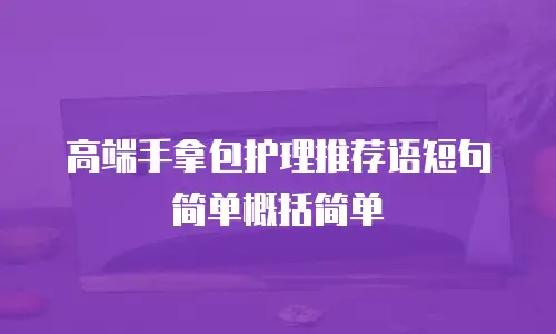 高端手拿包护理推荐语短句简单概括简单