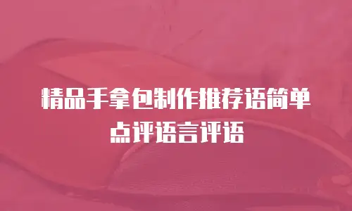 精品手拿包制作推荐语简单点评语言评语