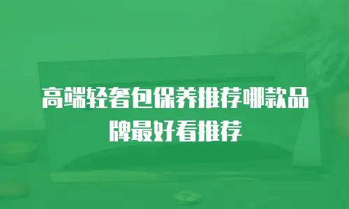高端轻奢包保养推荐哪款品牌最好看推荐