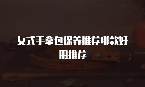 女式手拿包保养推荐哪款好用推荐