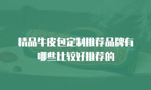 精品牛皮包定制推荐品牌有哪些比较好推荐的