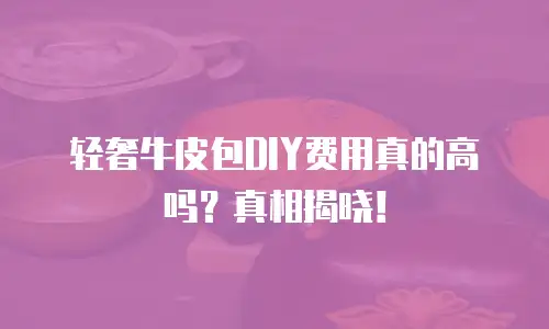 轻奢牛皮包DIY费用真的高吗？真相揭晓！