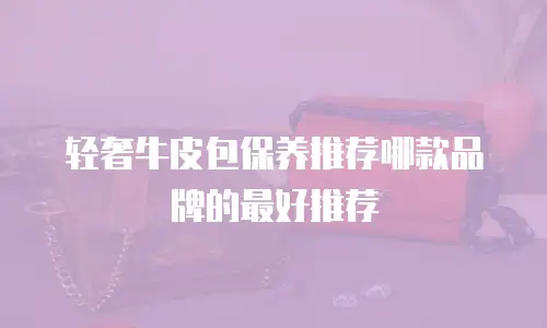 轻奢牛皮包保养推荐哪款品牌的最好推荐
