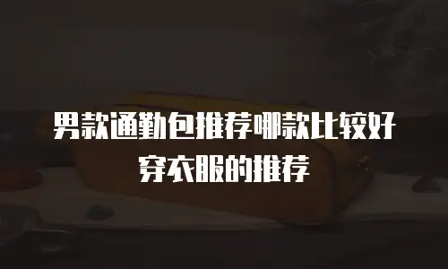 男款通勤包推荐哪款比较好穿衣服的推荐