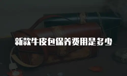 新款牛皮包保养费用是多少