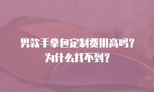 男款手拿包定制费用高吗？为什么找不到？