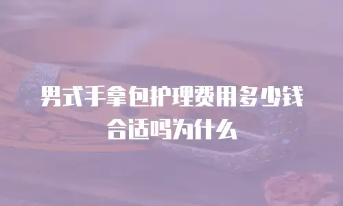 男式手拿包护理费用多少钱合适吗为什么
