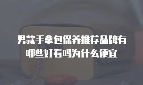 男款手拿包保养推荐品牌有哪些好看吗为什么便宜