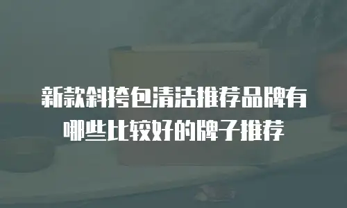 新款斜挎包清洁推荐品牌有哪些比较好的牌子推荐