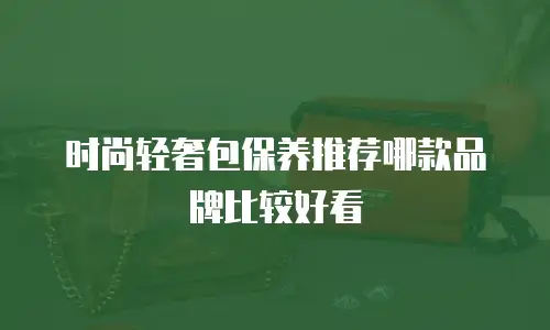 时尚轻奢包保养推荐哪款品牌比较好看