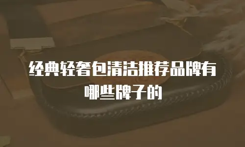 经典轻奢包清洁推荐品牌有哪些牌子的