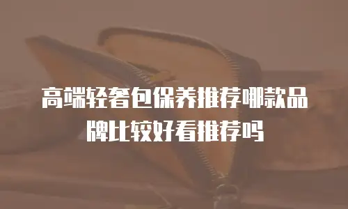 高端轻奢包保养推荐哪款品牌比较好看推荐吗