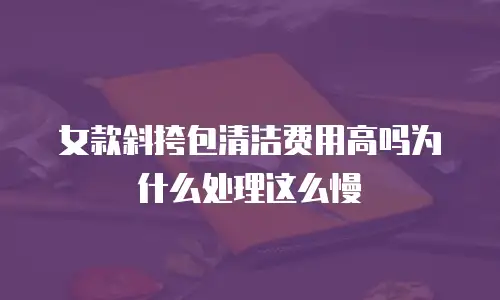 女款斜挎包清洁费用高吗为什么处理这么慢