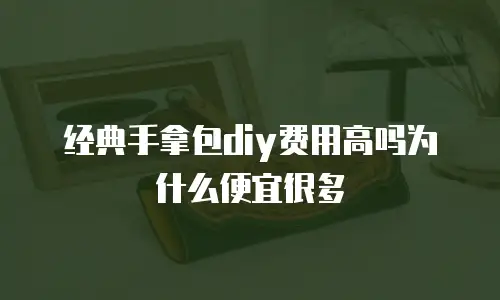 经典手拿包diy费用高吗为什么便宜很多