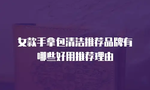 女款手拿包清洁推荐品牌有哪些好用推荐理由