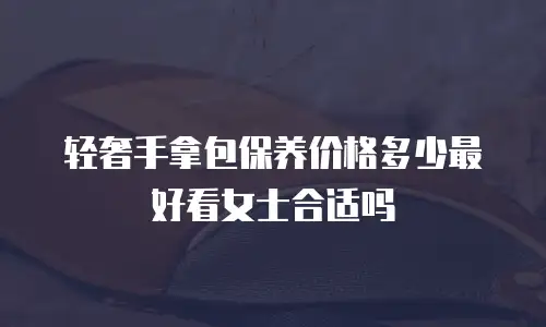 轻奢手拿包保养价格多少最好看女士合适吗