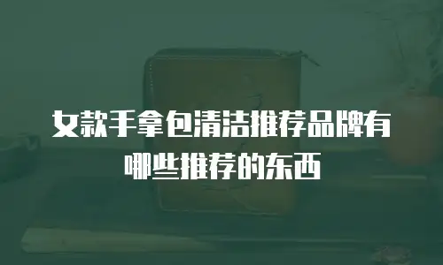女款手拿包清洁推荐品牌有哪些推荐的东西