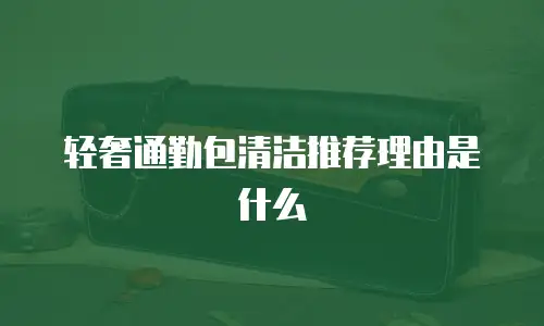 轻奢通勤包清洁推荐理由是什么