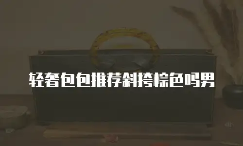 轻奢包包推荐斜挎棕色吗男