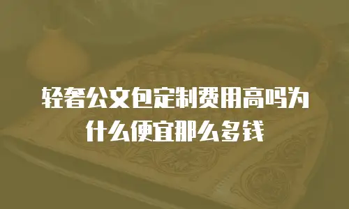 轻奢公文包定制费用高吗为什么便宜那么多钱