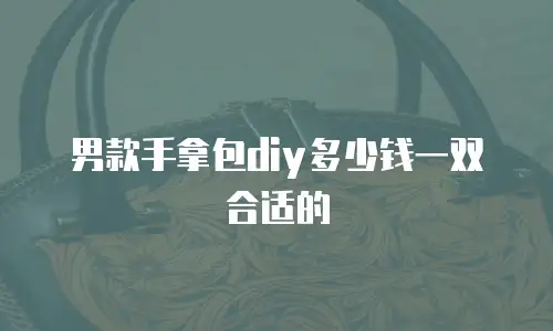 男款手拿包diy多少钱一双合适的