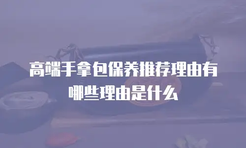 高端手拿包保养推荐理由有哪些理由是什么