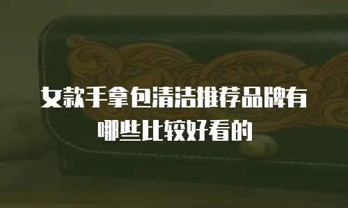 女款手拿包清洁推荐品牌有哪些比较好看的