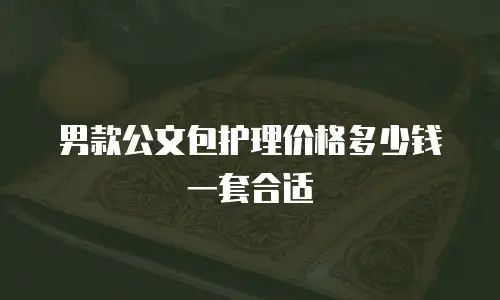 男款公文包护理价格多少钱一套合适