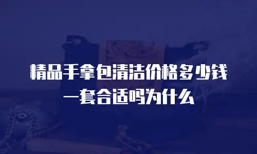 精品手拿包清洁价格多少钱一套合适吗为什么