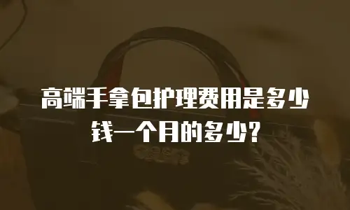 高端手拿包护理费用是多少钱一个月的多少？