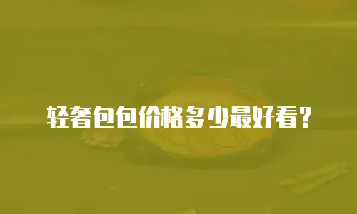 轻奢包包价格多少最好看？