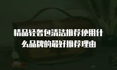 精品轻奢包清洁推荐使用什么品牌的最好推荐理由