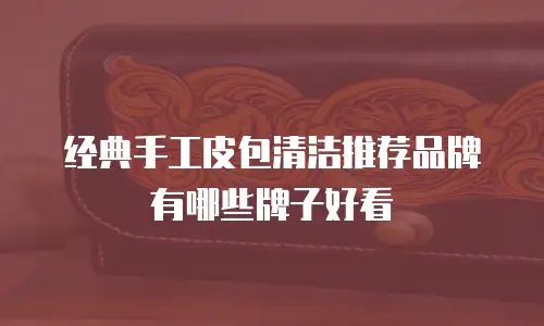 经典手工皮包清洁推荐品牌有哪些牌子好看